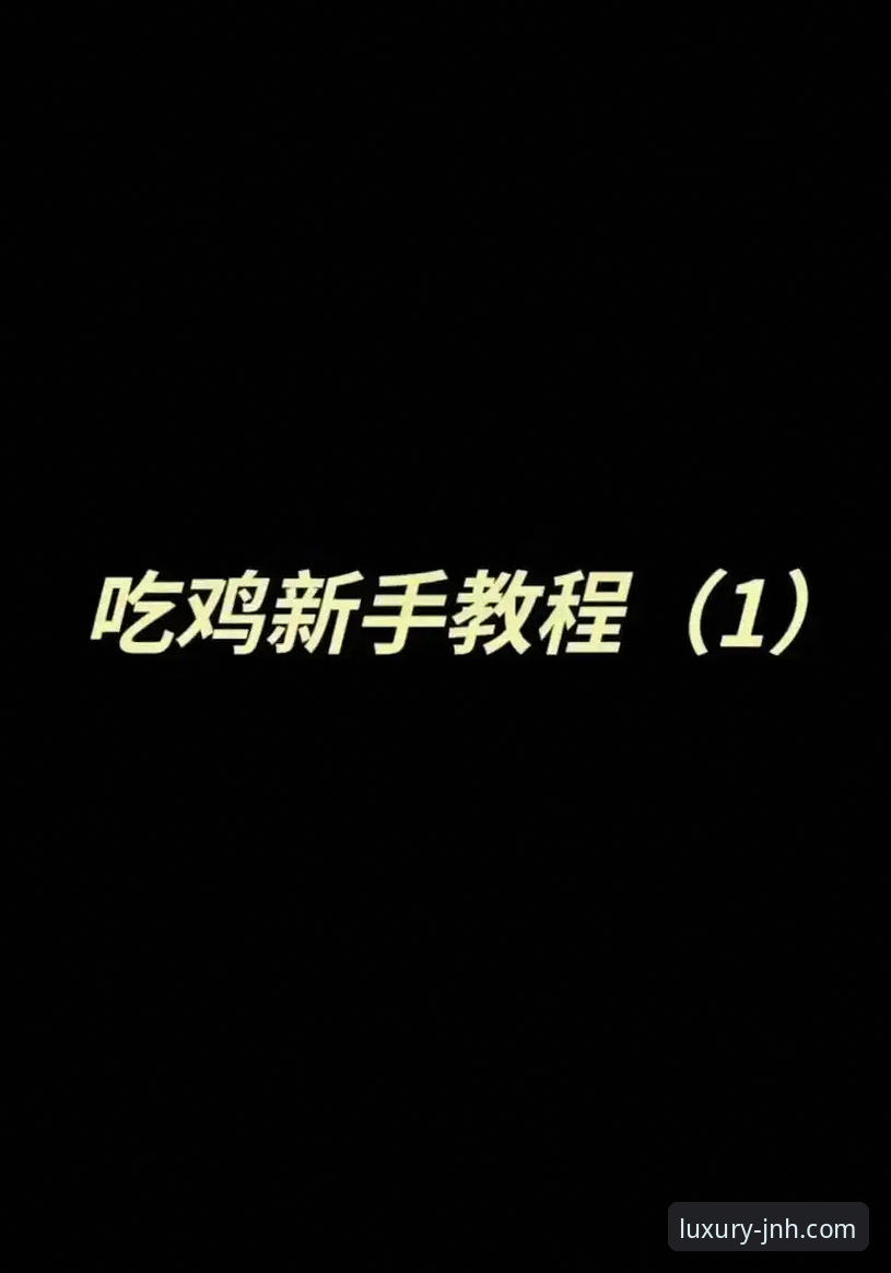 资深玩家手把手教你：金年会体育下载安装全流程实战心得